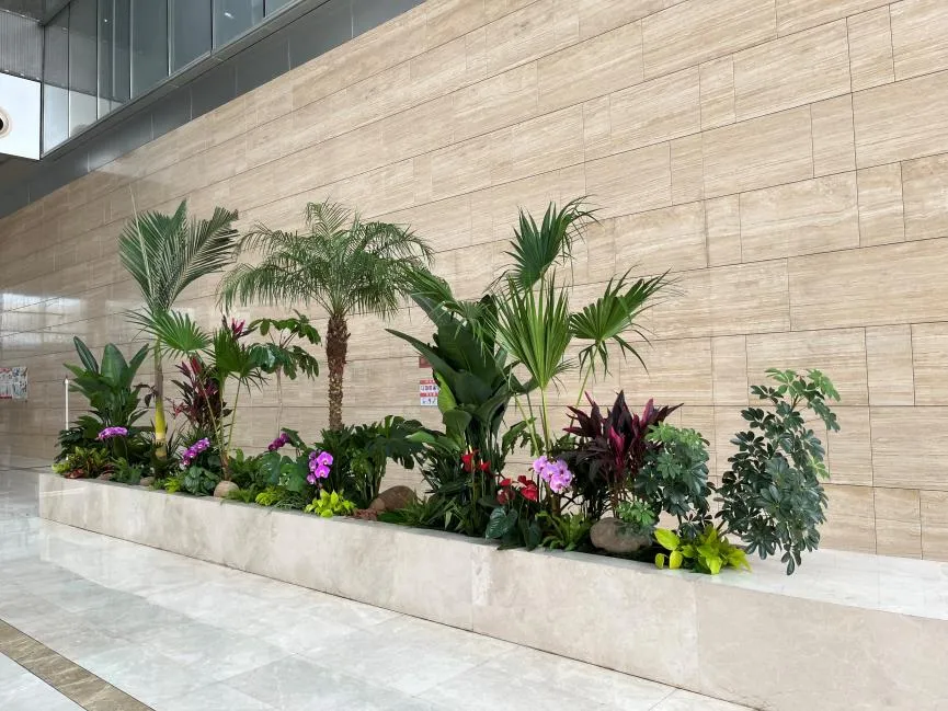 宁波奉化植物租赁专业，让绿色融入你的生活